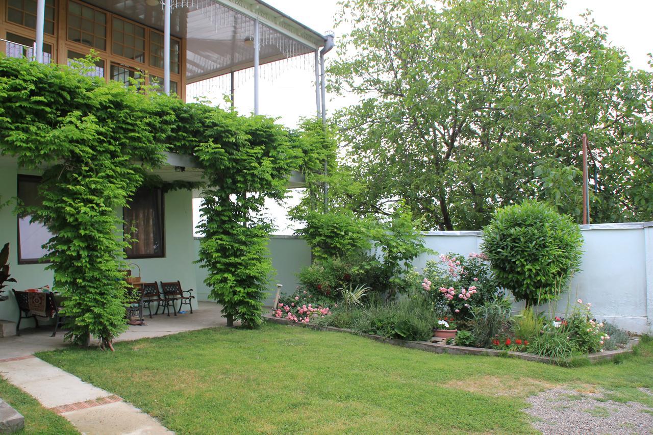 Villa Kursa Signagi Exterior foto